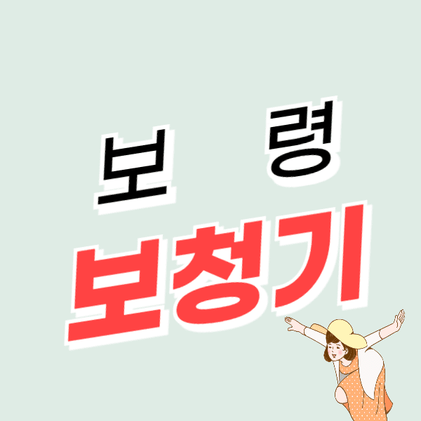 보령 보청기 가격 싼 곳 잘하는 센터 추천 후기비교(지원금, 할인)