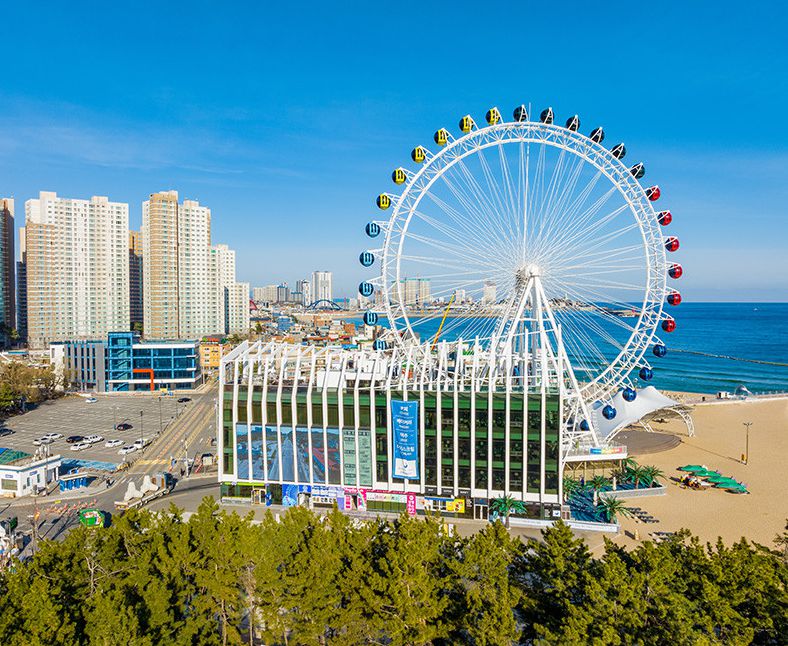 속초아이대관람차