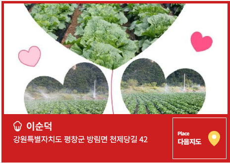 평창고랭지김장축제 신청