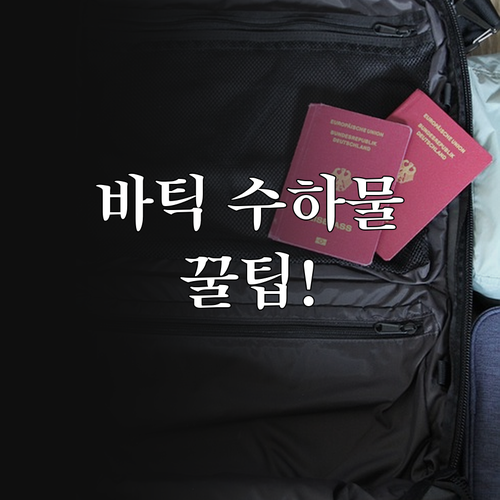 바틱에어 기내 반입 수하물 규정과 초..