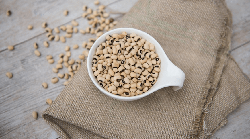 여러 가지 렌틸콩 사진 - 55