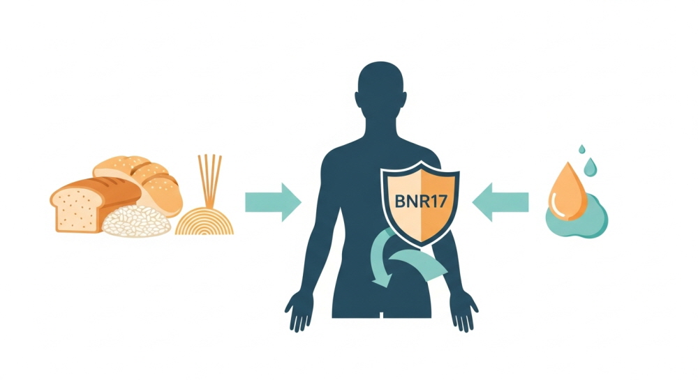 다이어트 유산균 BNR17