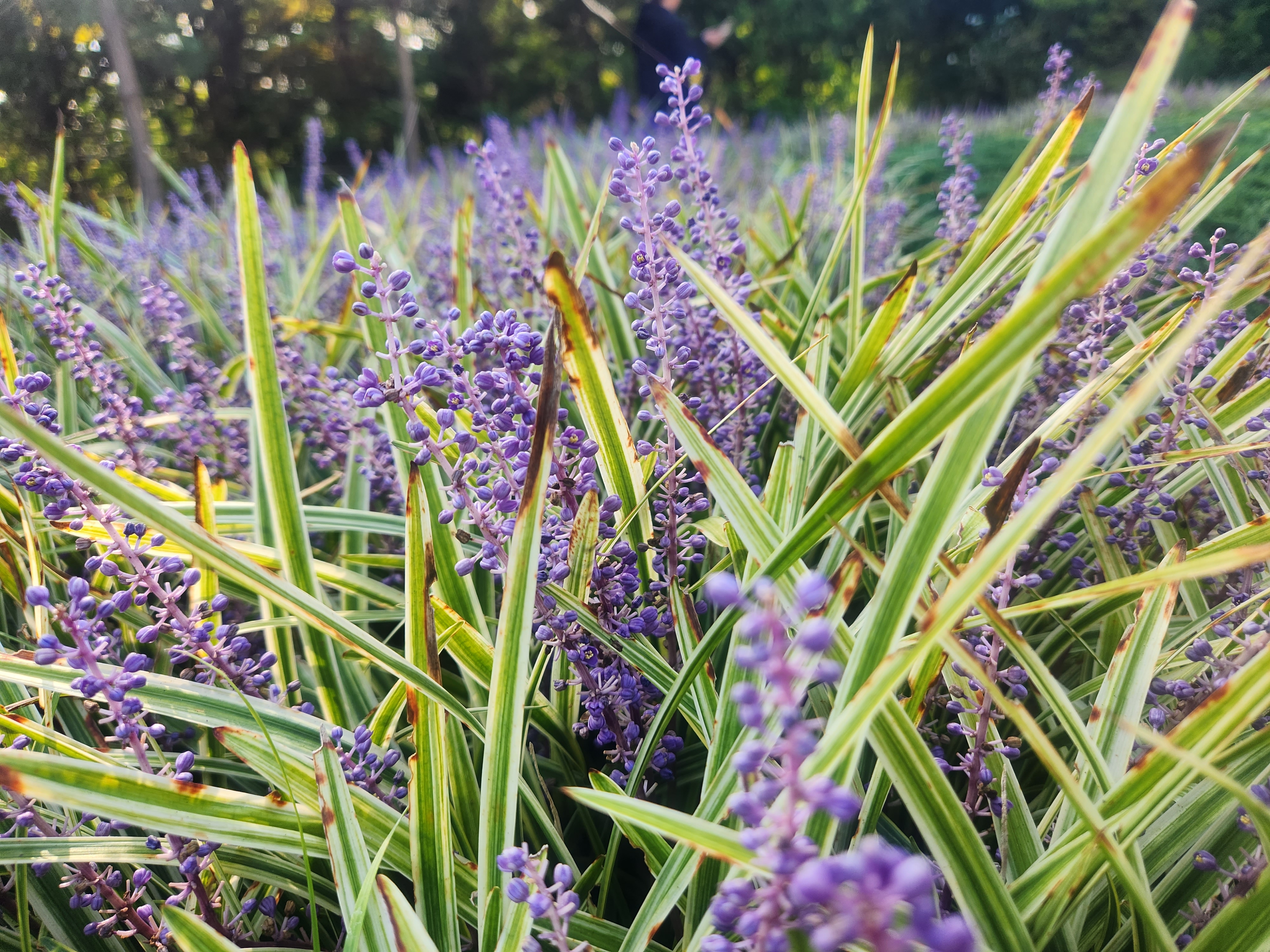 태안가볼만한곳