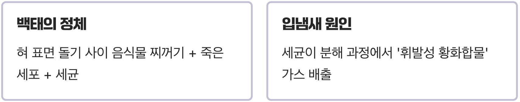 '백태'는 입속의 '음식물 쓰레기장'