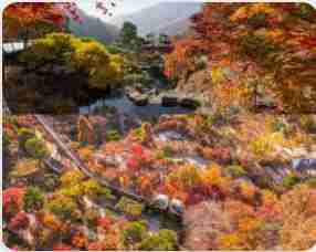 화담숲 모노레일 예약 3분 완벽 가이드