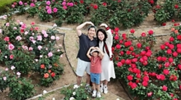 대구 이곡장미공원 관련 사진