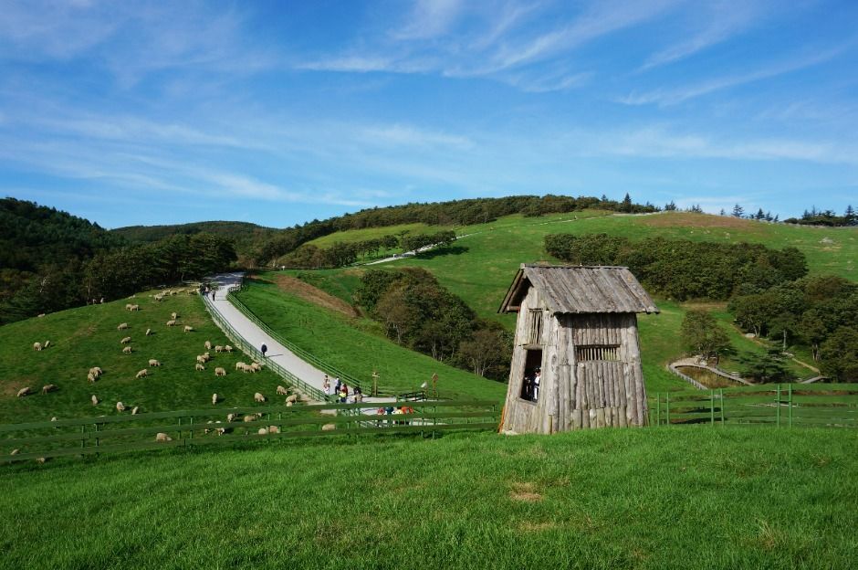 평창 가볼만한곳 베스트10