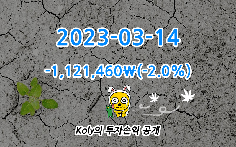 콜리Koly의 주식투자 손익 공개
