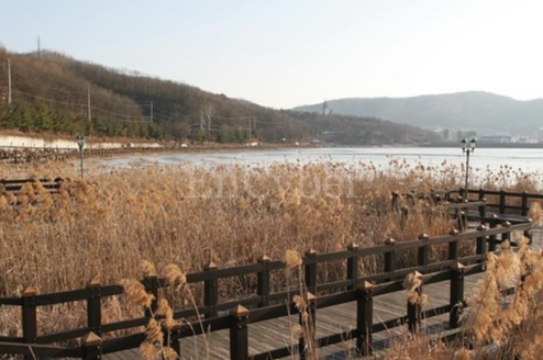 율동공원
