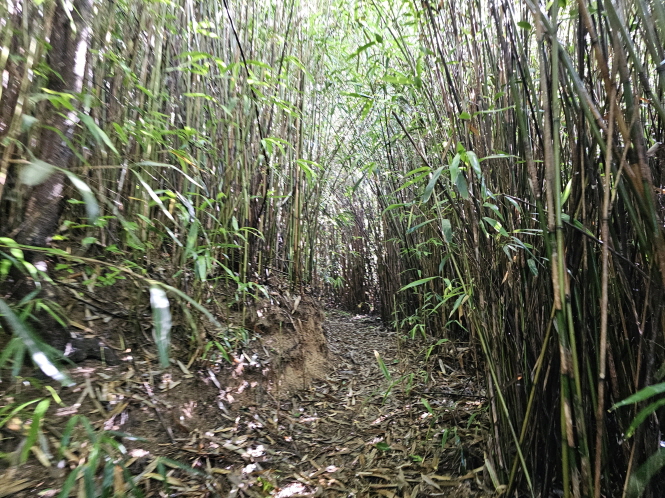 남원 가볼만한 곳- 애기봉에서 맨발걷기, 산책, 등산하세요