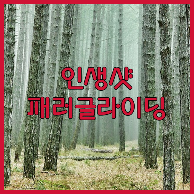 인터라켄 패러글라이딩, 잊지 못할 하