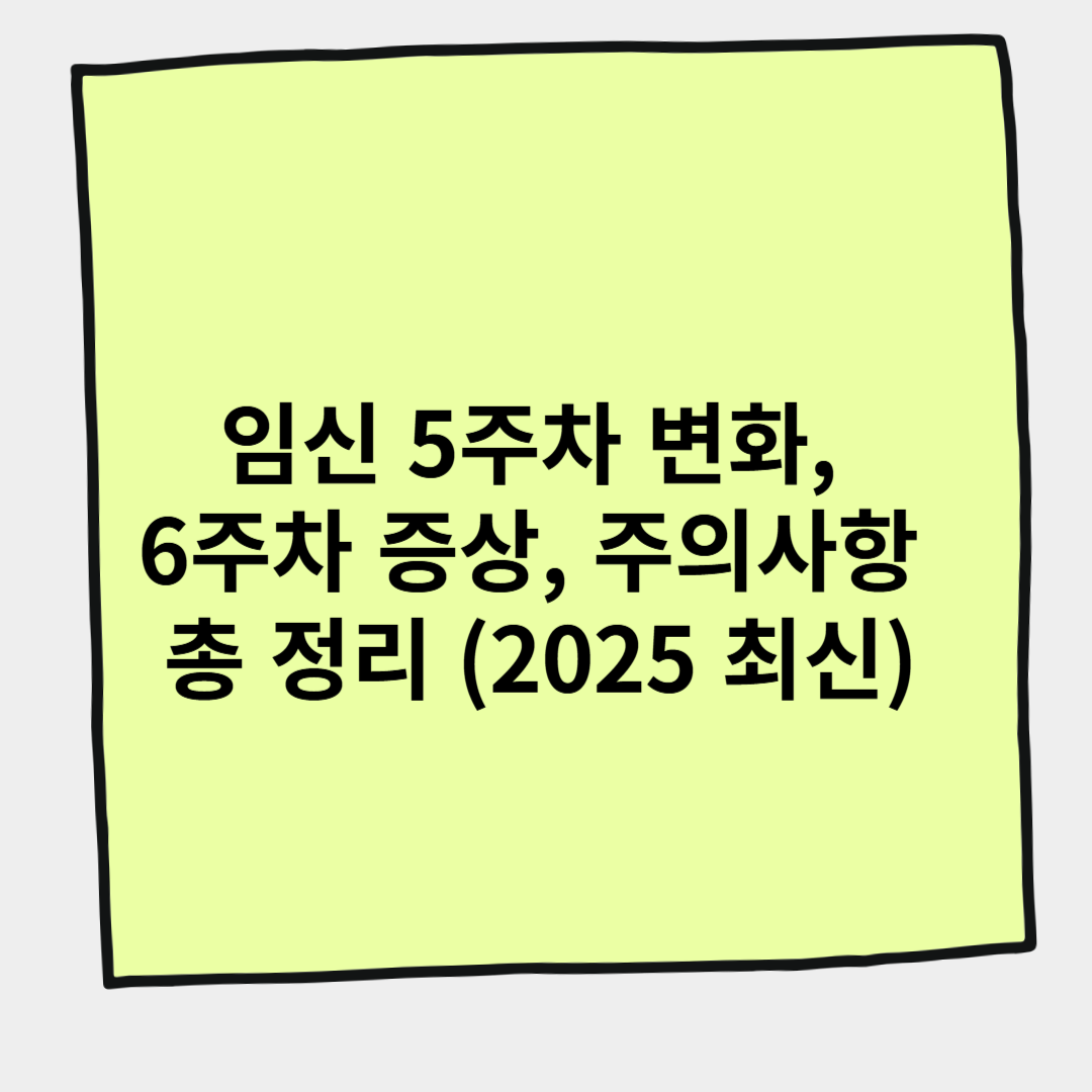 임신 5주차 변화, 6주차 증상, 주의사항 총 정리 (2025 최신)