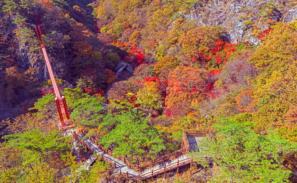 순창 강천산군립공원: 애기단풍과 무장애 산책길