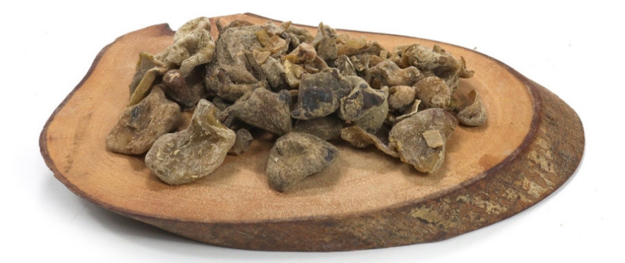 야생에서 채취를 한 오배자를 깨끗하게 세척하고 건조시킨 것을 하얀 바닥 위에 나무 받침대를 놓아두고 그 위에 수북하게 놓아두고 찍은 사진