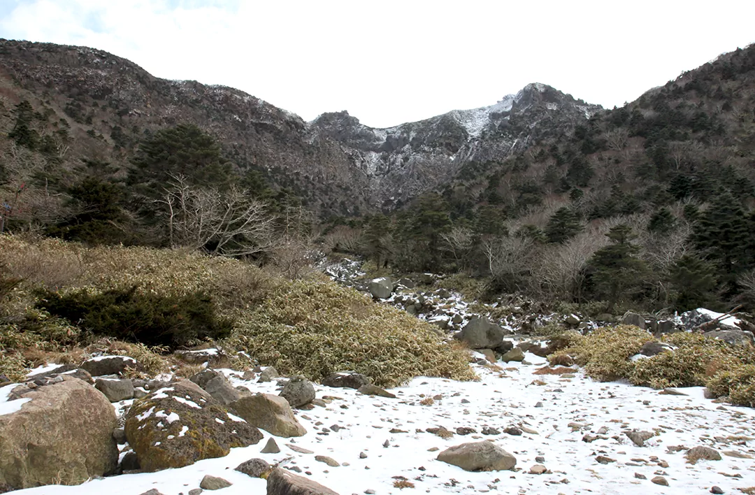 한라산 겨울 등반 준비물 복장 완벽정리: 성판악 관음사 코스별 가이드