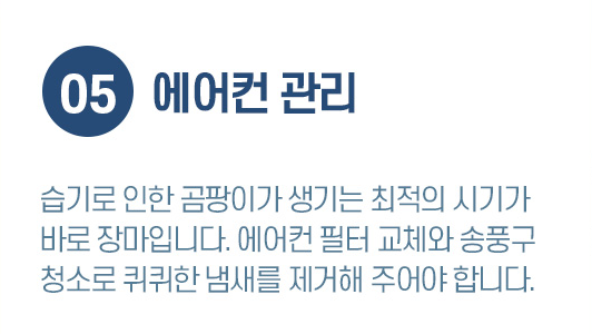 장마철 자동차 관리 방법 Top7