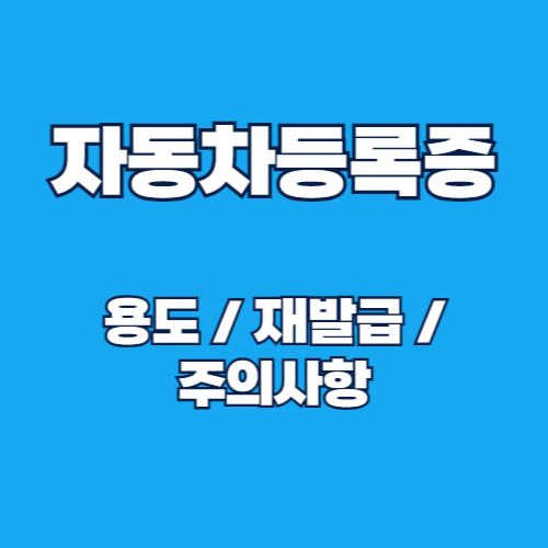 편리하고 신속한 자동차 등록증 재발급: 온라인 vs 방문 신청 방법 총정리