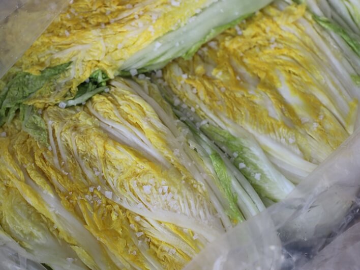 괴산 절임 배추