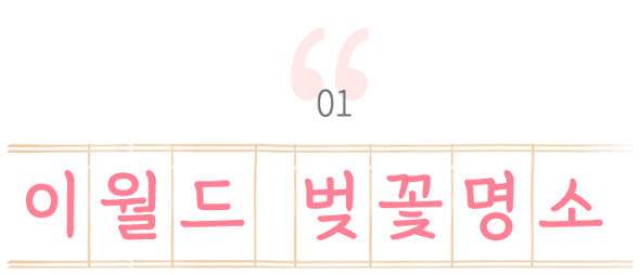벚꽃축제