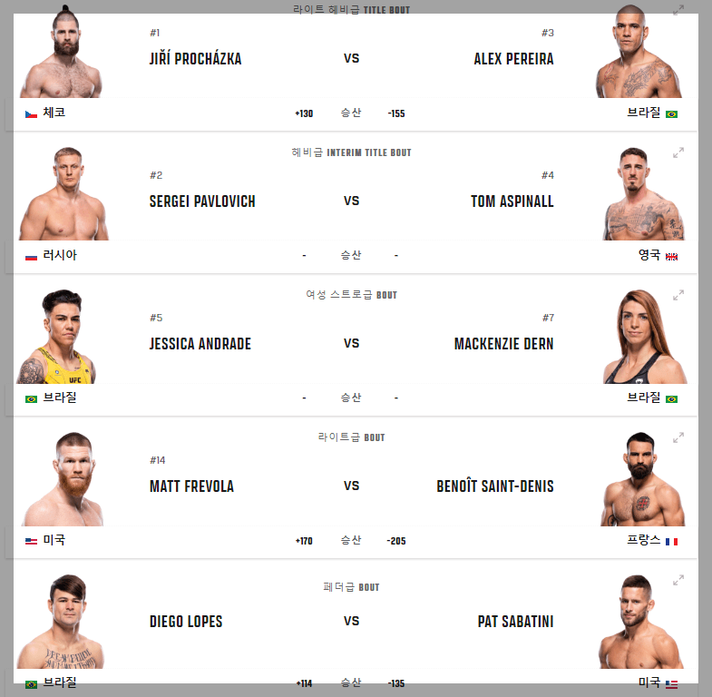 UFC 295 메인 카드