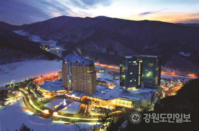 하이원 리조트 야경