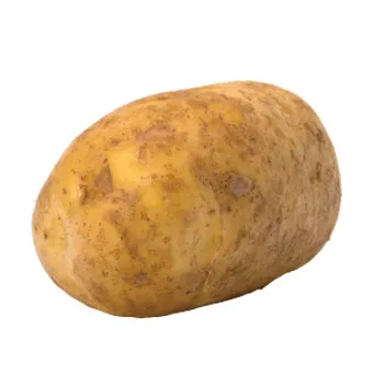 감자 재배 달력 파종 북주기 역병 관리 수확 및 저장_6