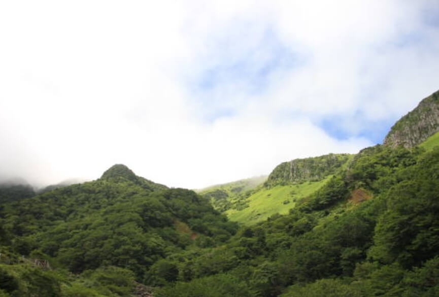 산에올라옷을흔드는꿈