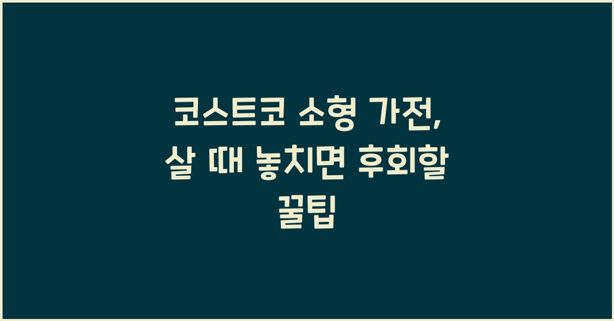 코스트코 소형 가전