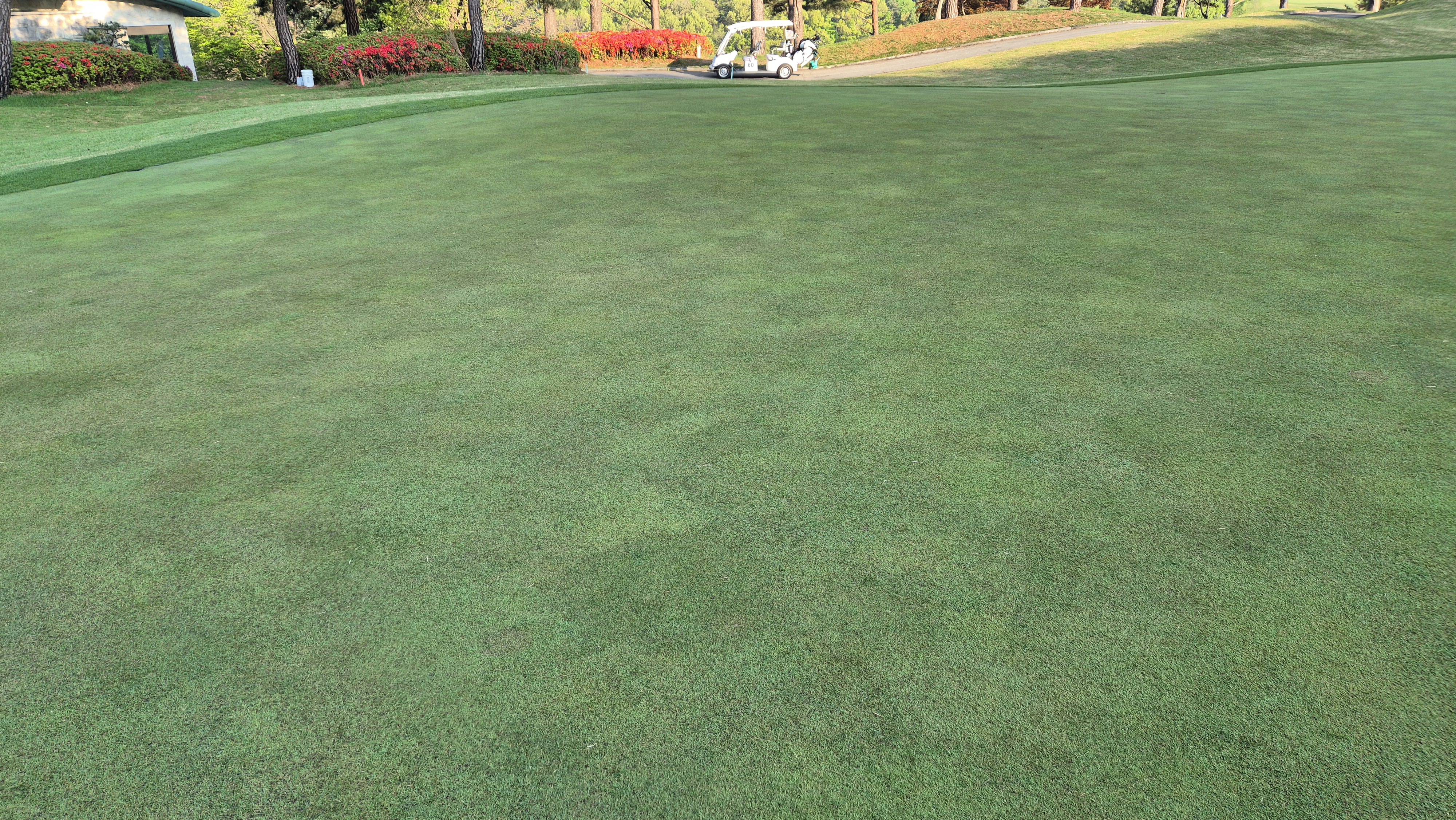 마에스트로cc 라운드 후기