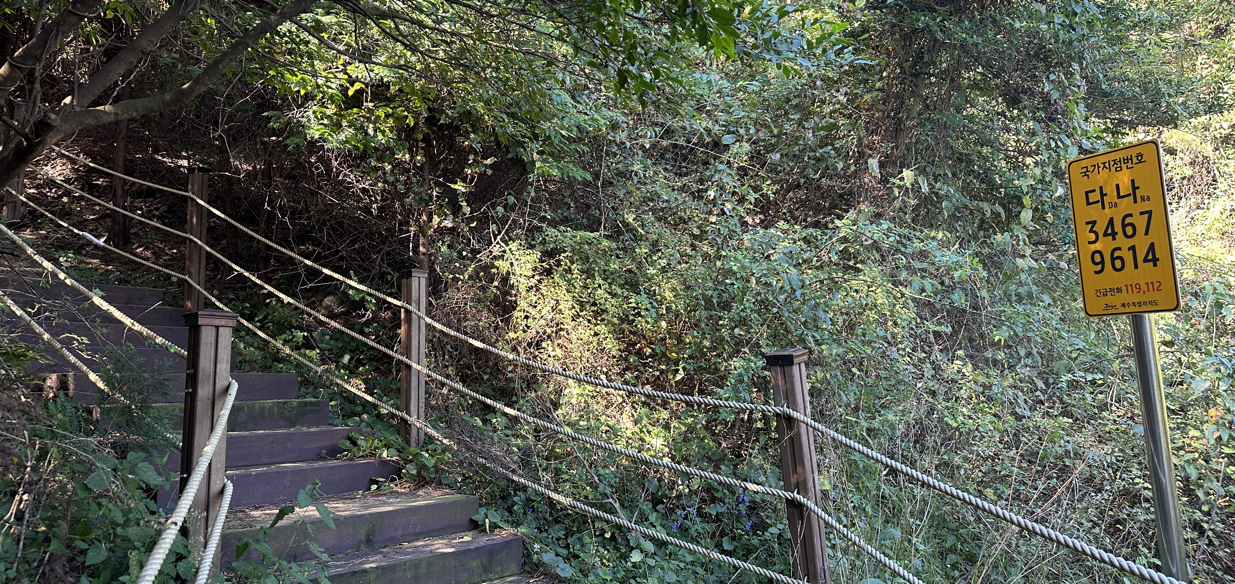 높은오름 탐방로