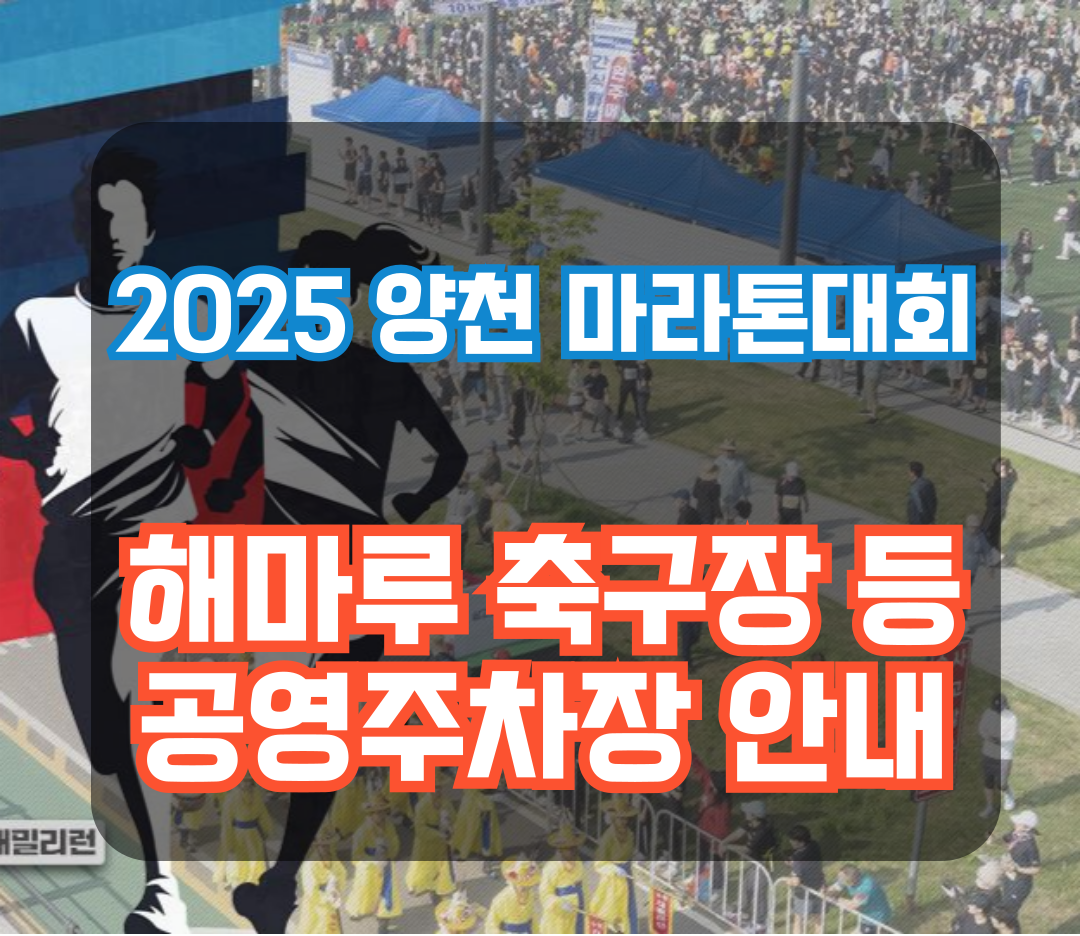 양천 마라톤대회