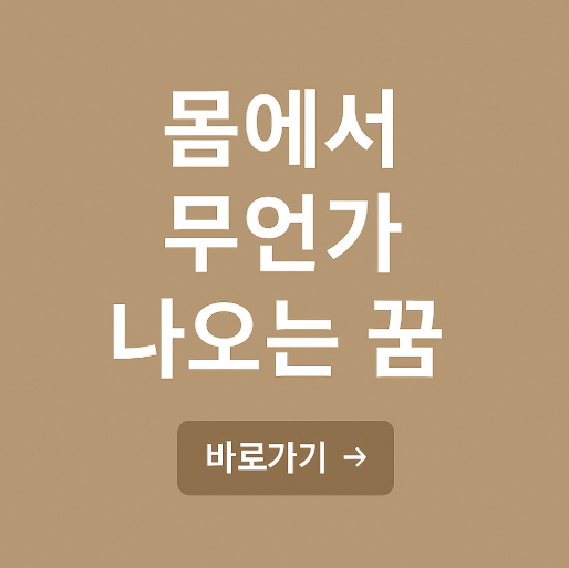 몸에서 무언가 나오는 꿈