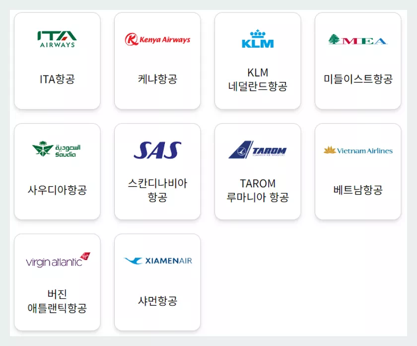 스카이팀 제휴항공사