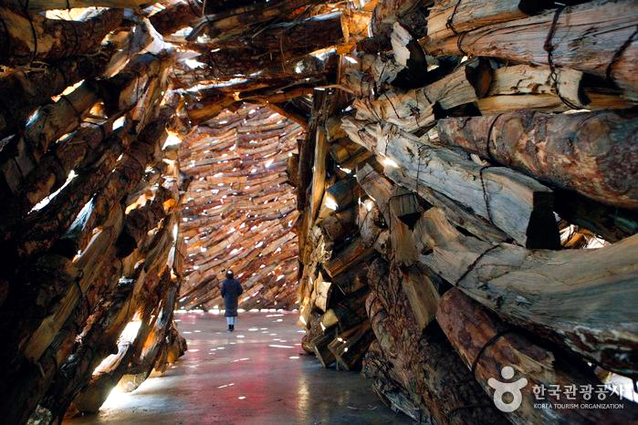 나무로 만든 거대한 작품 사이로 한여인이 걸어가고 있다