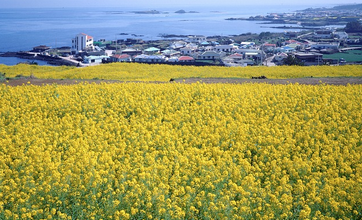 근로자 휴가비 지원사업 홈페이지 바로가기, 신청 방법 +최신정보
