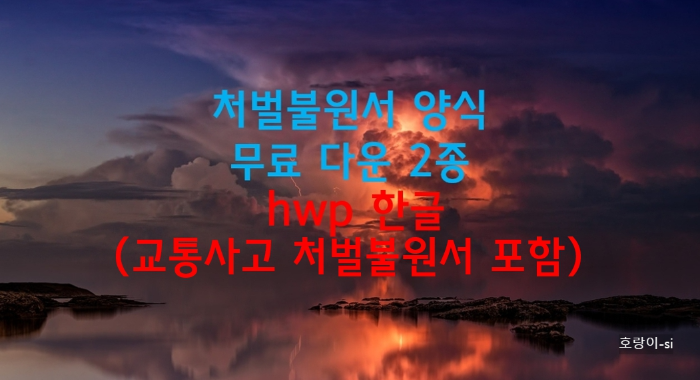 처벌불원서 양식