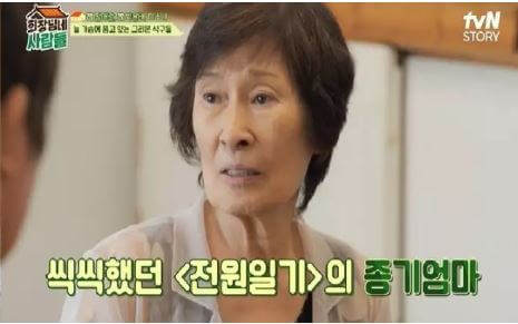김혜자 이수나 전원일기