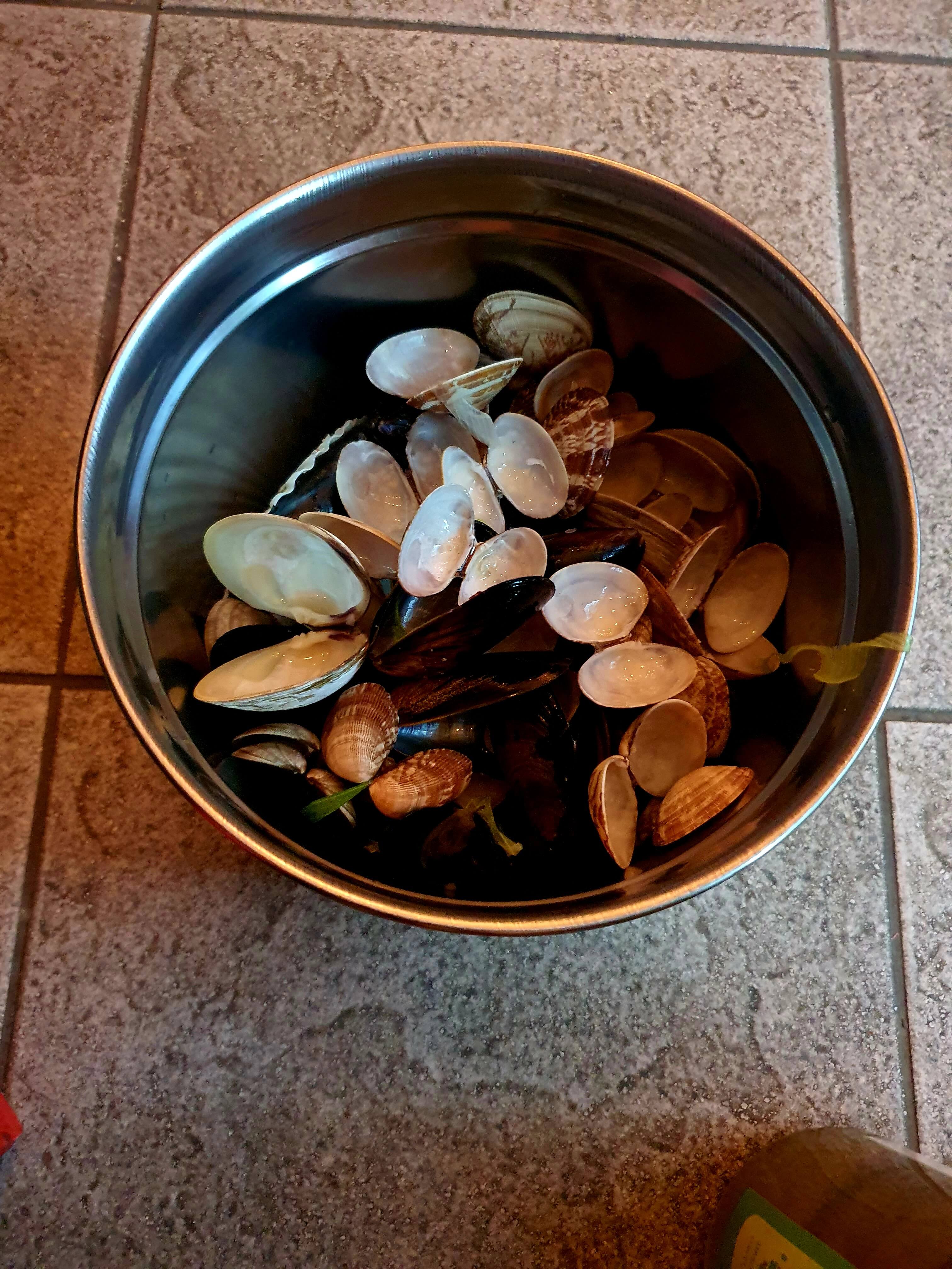 초장집