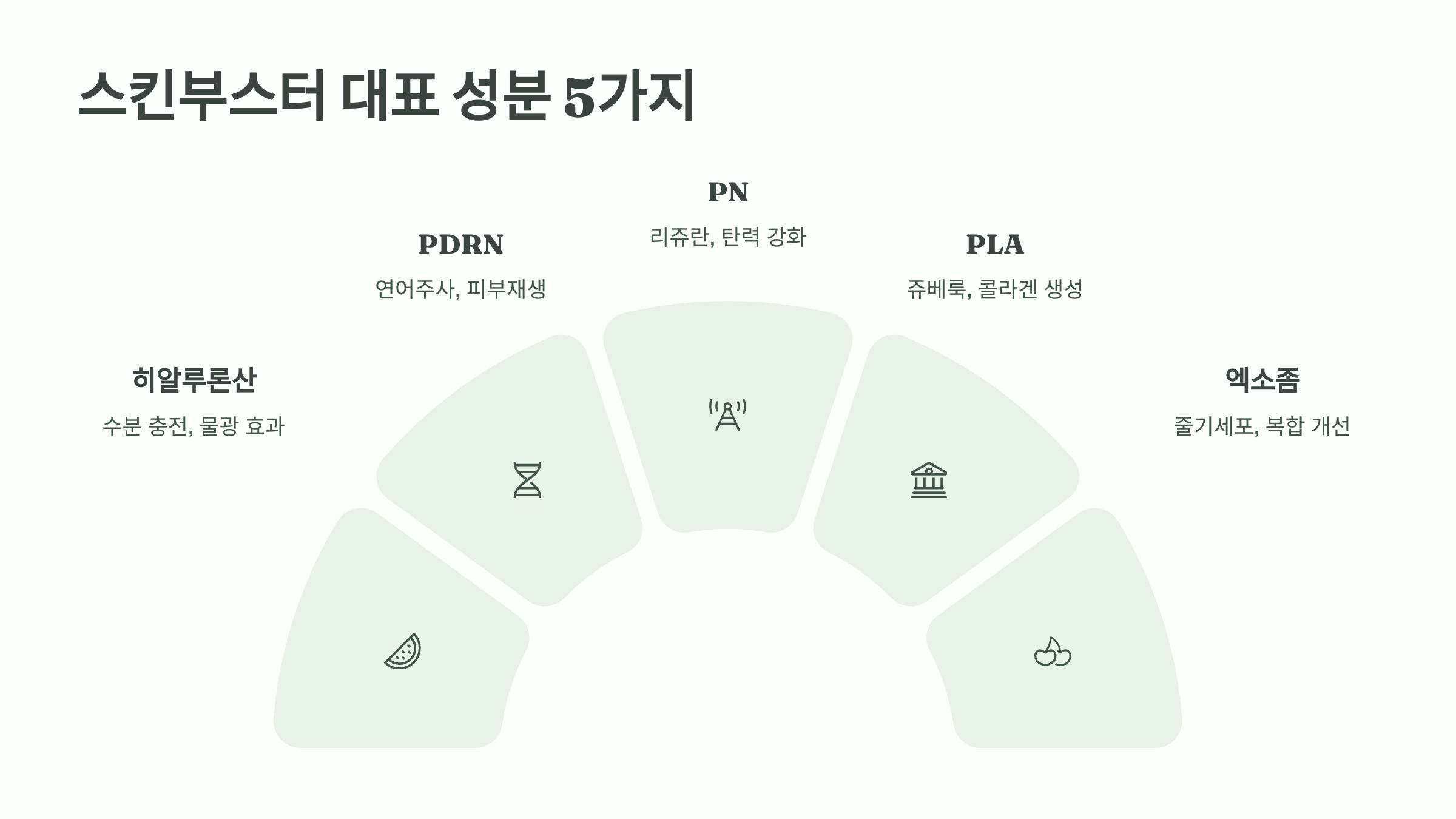 스킨부스터 성분 비교 ❘ 히알루론산·리쥬란·엑소좀 효능 총정리