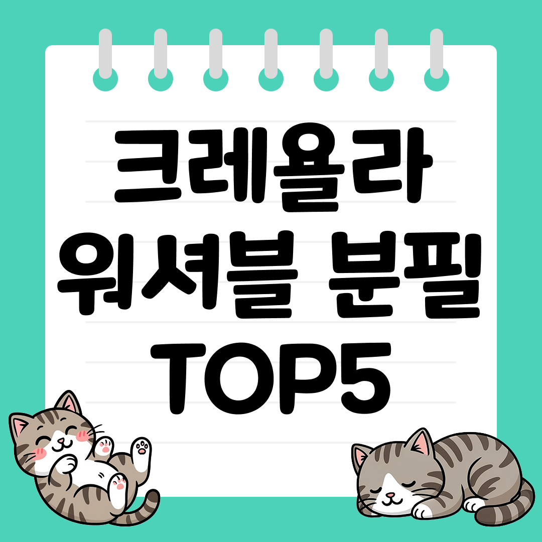 쉽게 지워지는 크레욜라 워셔블 분필 추천 TOP5