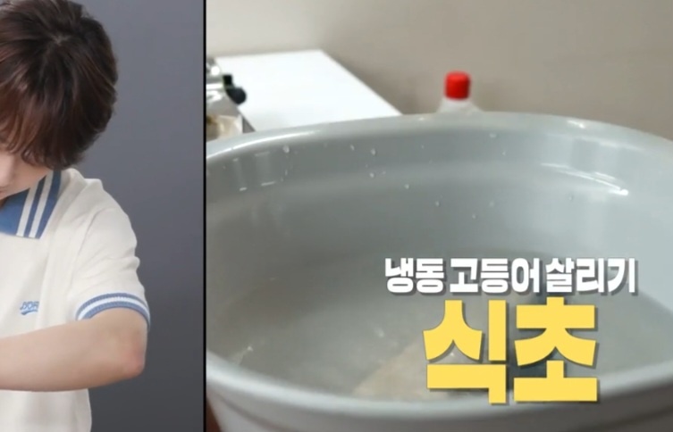 냉동고등어 해동