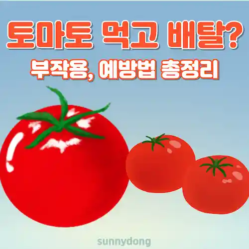 토마토 먹고 배탈 났을 예방 및 대처법 썸네일