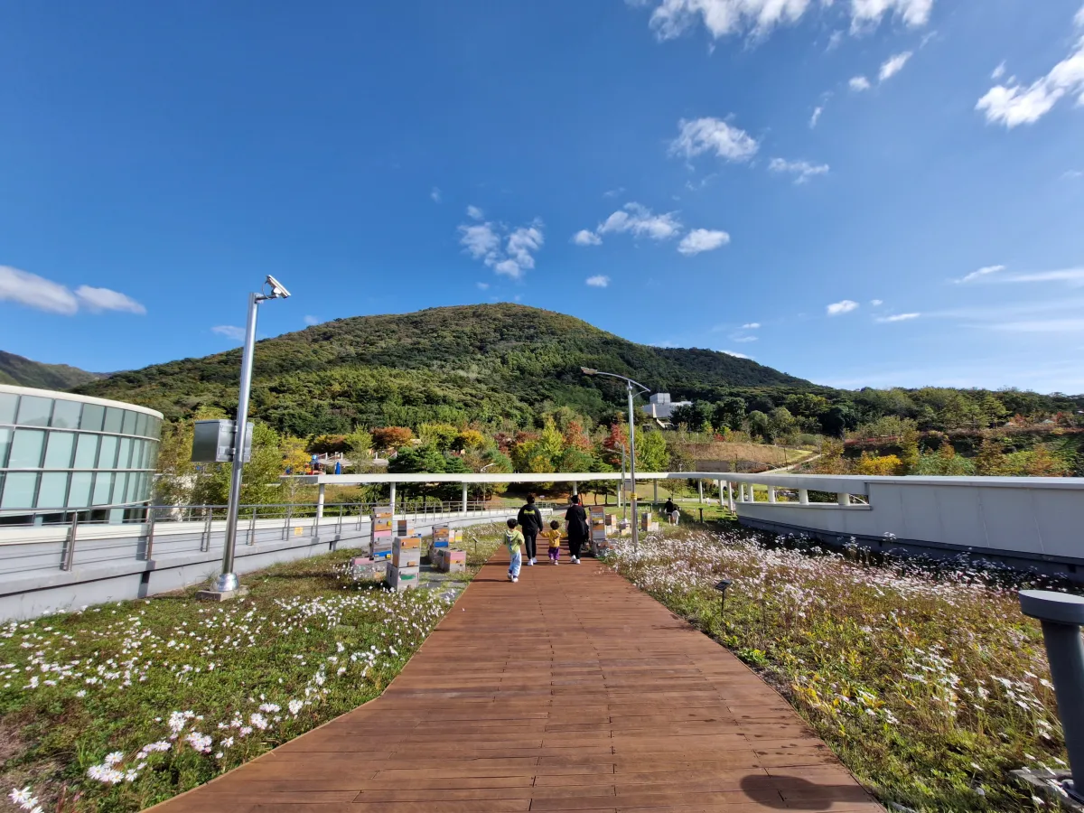 꽃들이-활짝-펴있고-가운데-나무데크-길이-쭈우욱-펼쳐져있다