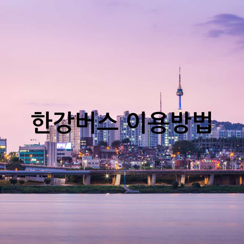 서울 한강버스