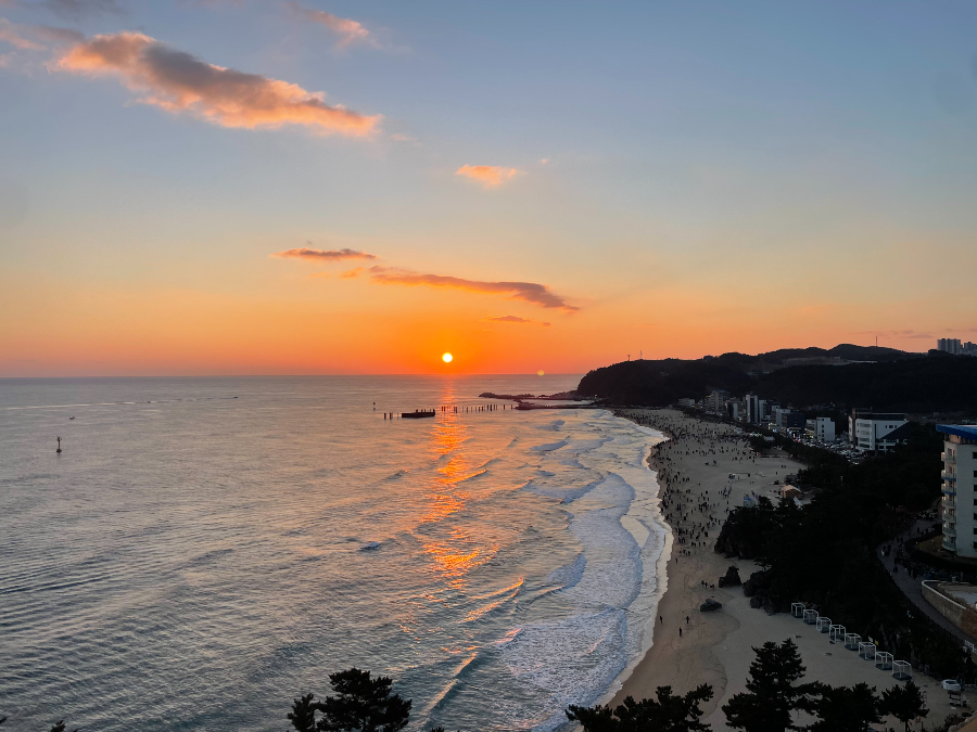 솔비치 삼척 일출 체험