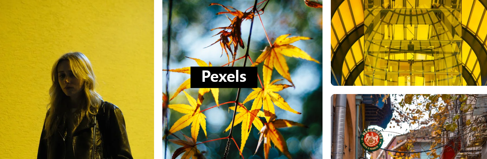 Pexels