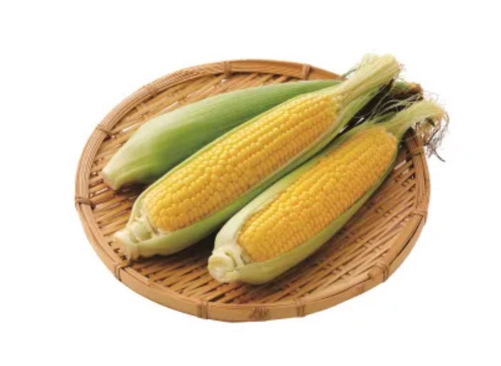 초당옥수수 효능