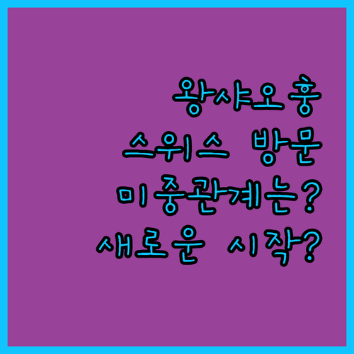 왕샤오훙의 스위스 방문, 미중 관계 