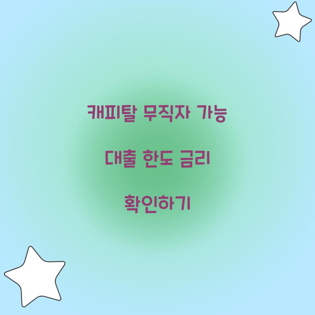 캐피탈 무직자 가능 대출