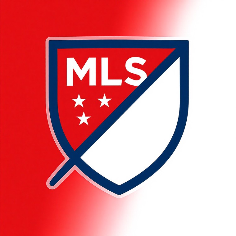 미국 프로축구 리그